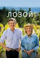  Под виноградными лозами смотреть онлайн сериал 1-3 сезон 