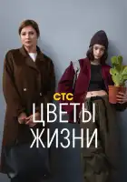  Цветы жизни смотреть онлайн сериал 1 сезон 